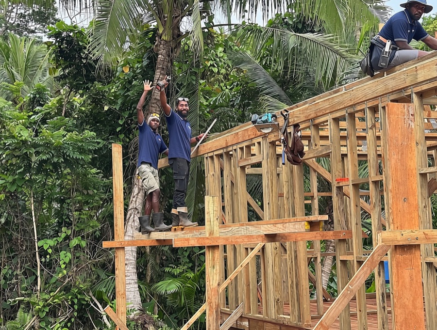 Wall framing among the palms
