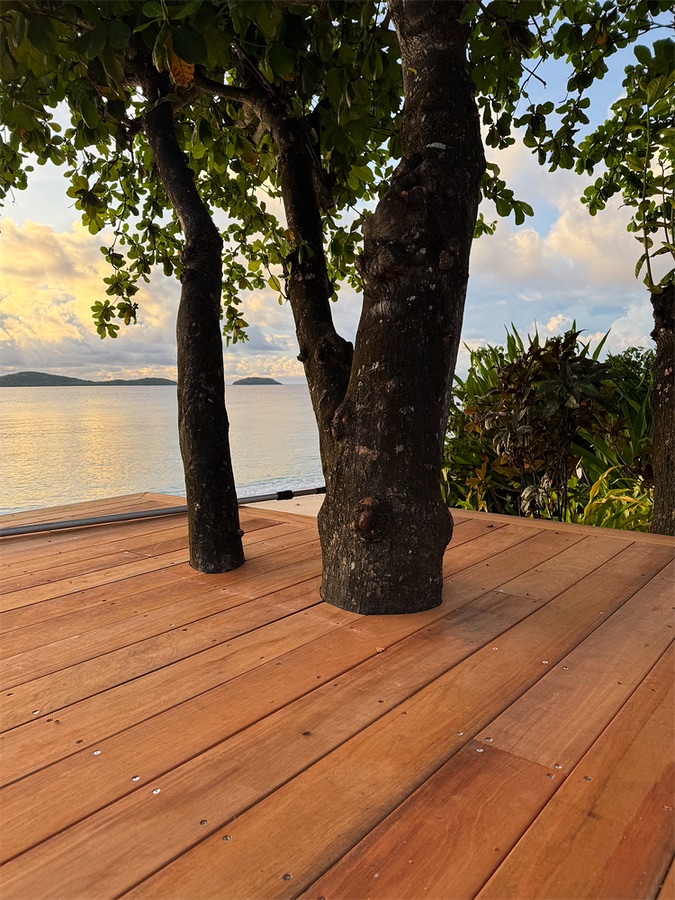 Hardwood deck built around a beachfront tree